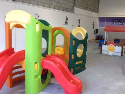 Trendy Pooches Day Care