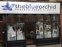 The Blue Orchid