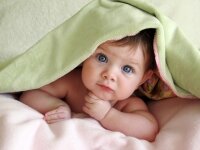 Babylicious
