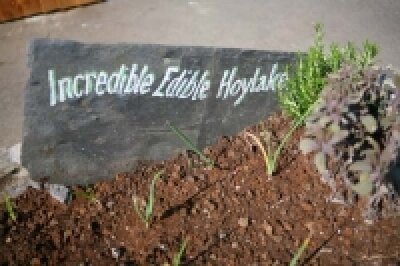 Incredible Edible Hoylake